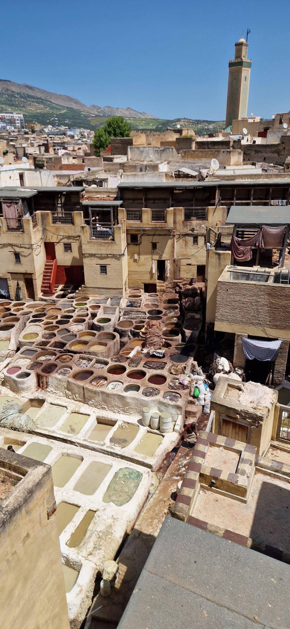 Reiservaring van reiziger Een achtbaan van emoties en bochten!