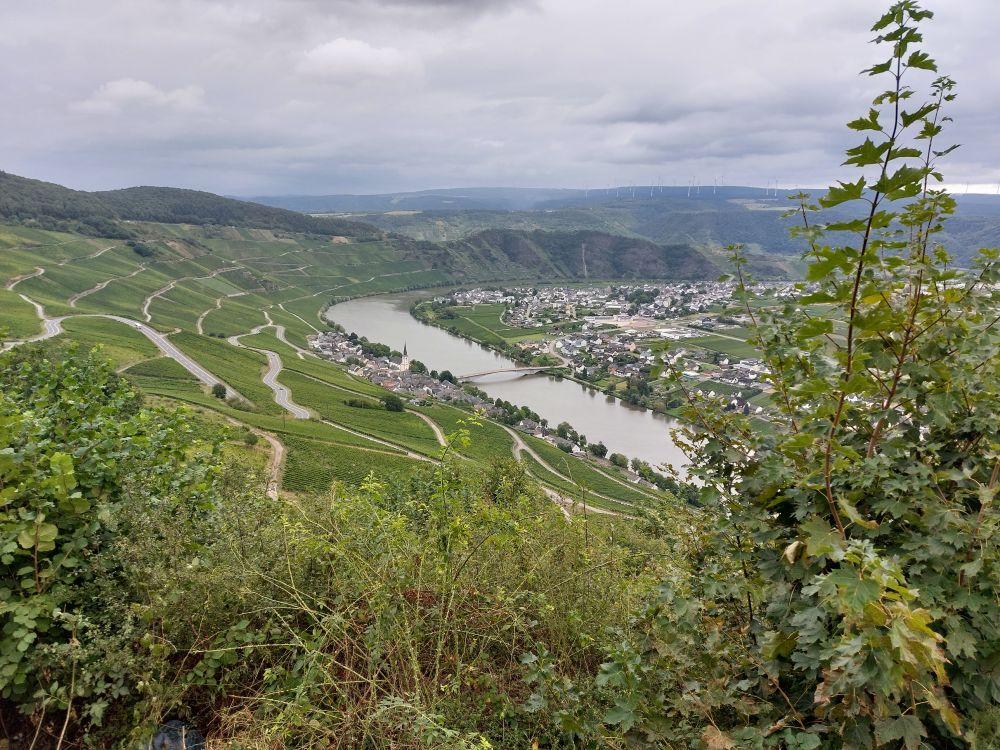 Reiservaring van reiziger Elzas 2000km