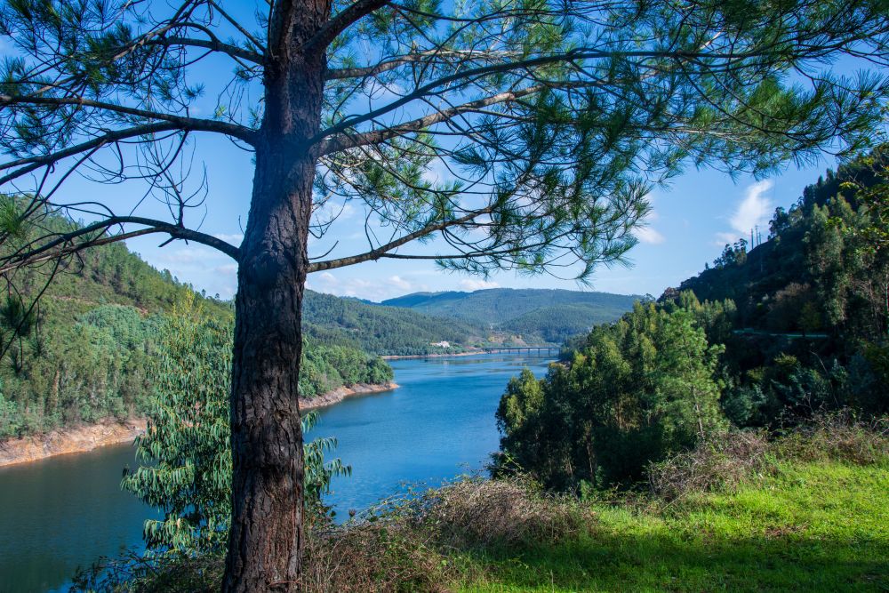 Reiservaring van reiziger Portugal land van verassingen