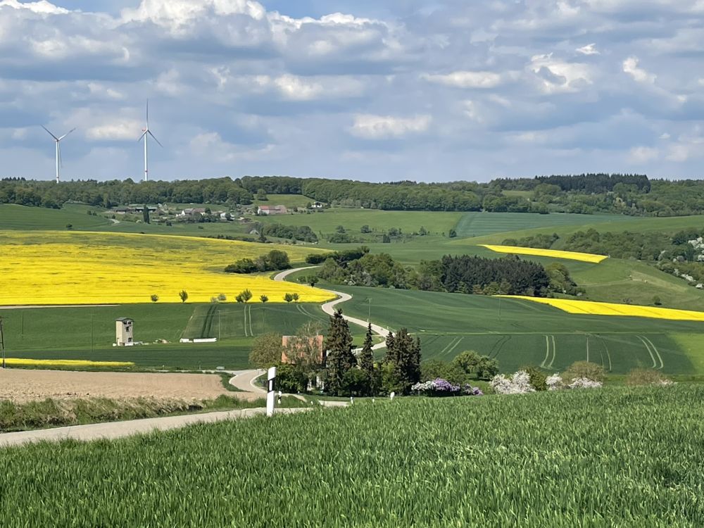 Reiservaring van reiziger Heerlijke en gevarieerde reis.
