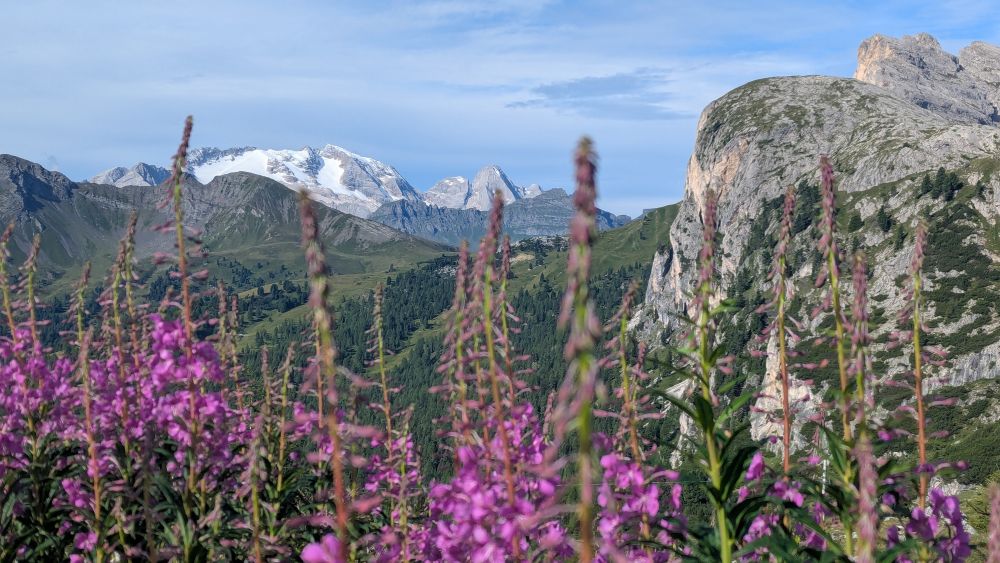 Reiservaring van reiziger Mooie routes, goede hotels en lekker eten!
