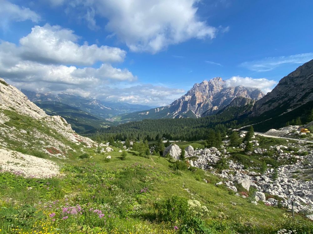 Reiservaring van reiziger Fantastisch 